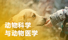 畜牧兽医