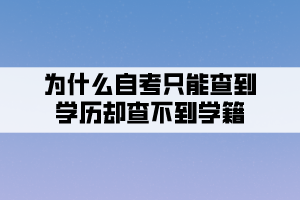 为什么自考只能查到学历却查不到学籍